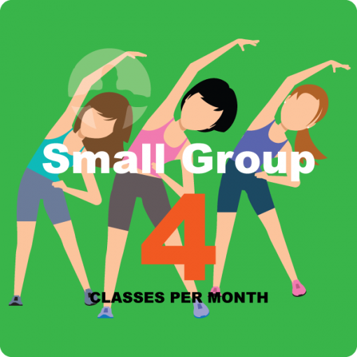 small group classes 4 per month